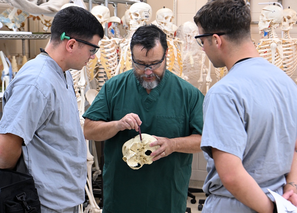 Students in Special Operations Combat Medic Course Take Part in Human Skeletal and Muscular Training