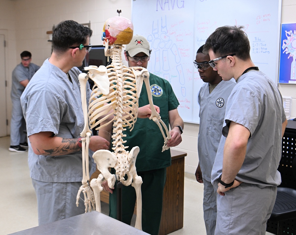 Students in Special Operations Combat Medic Course Take Part in Human Skeletal and Muscular Training