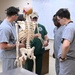 Students in Special Operations Combat Medic Course Take Part in Human Skeletal and Muscular Training