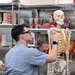 Students in Special Operations Combat Medic Course Take Part in Human Skeletal and Muscular Training