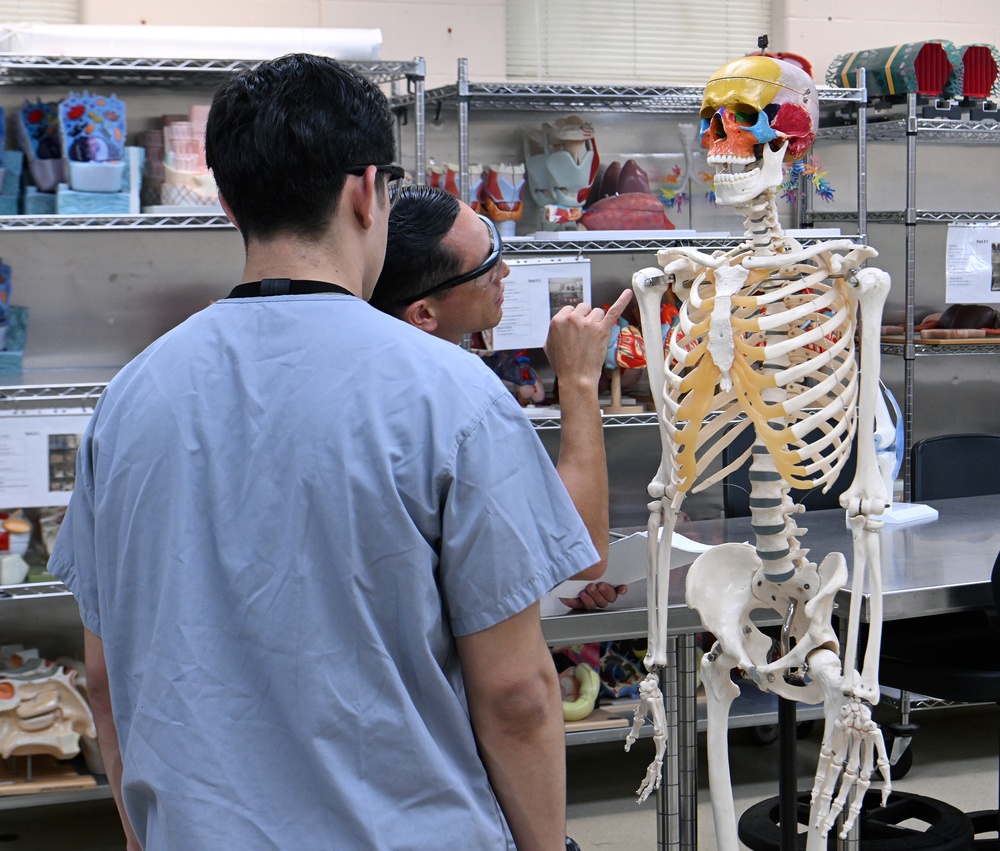 Students in Special Operations Combat Medic Course Take Part in Human Skeletal and Muscular Training