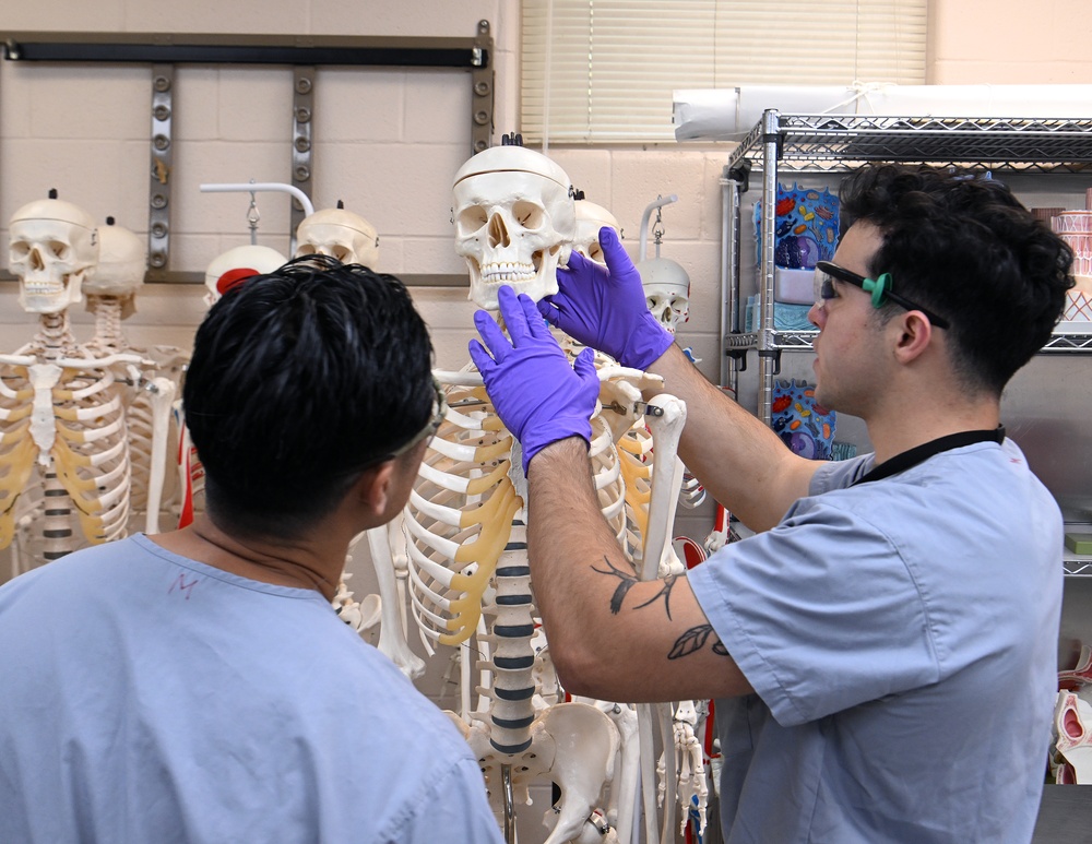 Students in Special Operations Combat Medic Course Take Part in Human Skeletal and Muscular Training