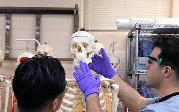 Students in Special Operations Combat Medic Course Take Part in Human Skeletal and Muscular Training
