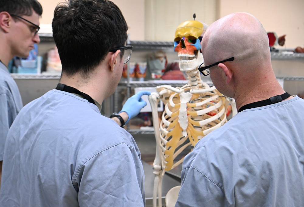 Students in Special Operations Combat Medic Course Take Part in Human Skeletal and Muscular Training