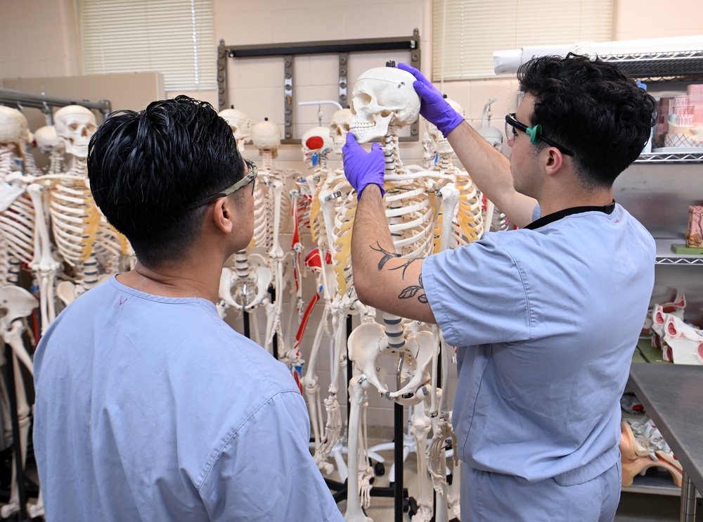 Students in Special Operations Combat Medic Course Take Part in Human Skeletal and Muscular Training