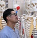 Students in Special Operations Combat Medic Course Take Part in Human Skeletal and Muscular Training