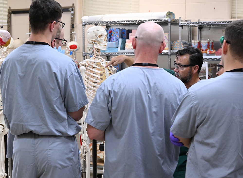 Students in Special Operations Combat Medic Course Take Part in Human Skeletal and Muscular Training