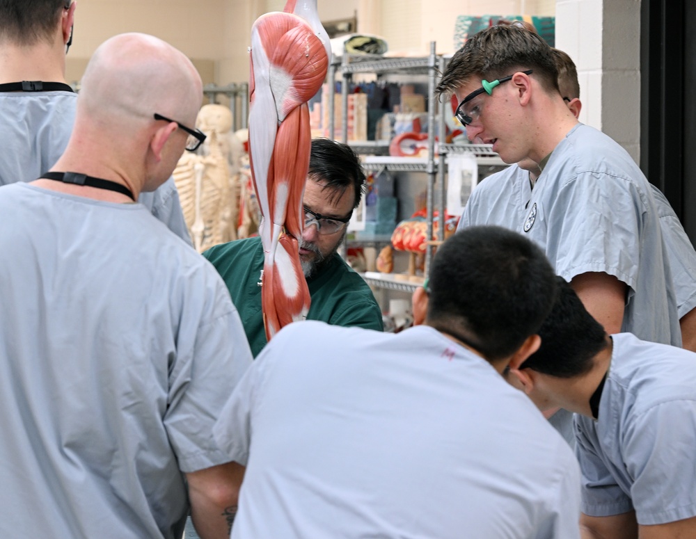 Students in Special Operations Combat Medic Course Take Part in Human Skeletal and Muscular Training
