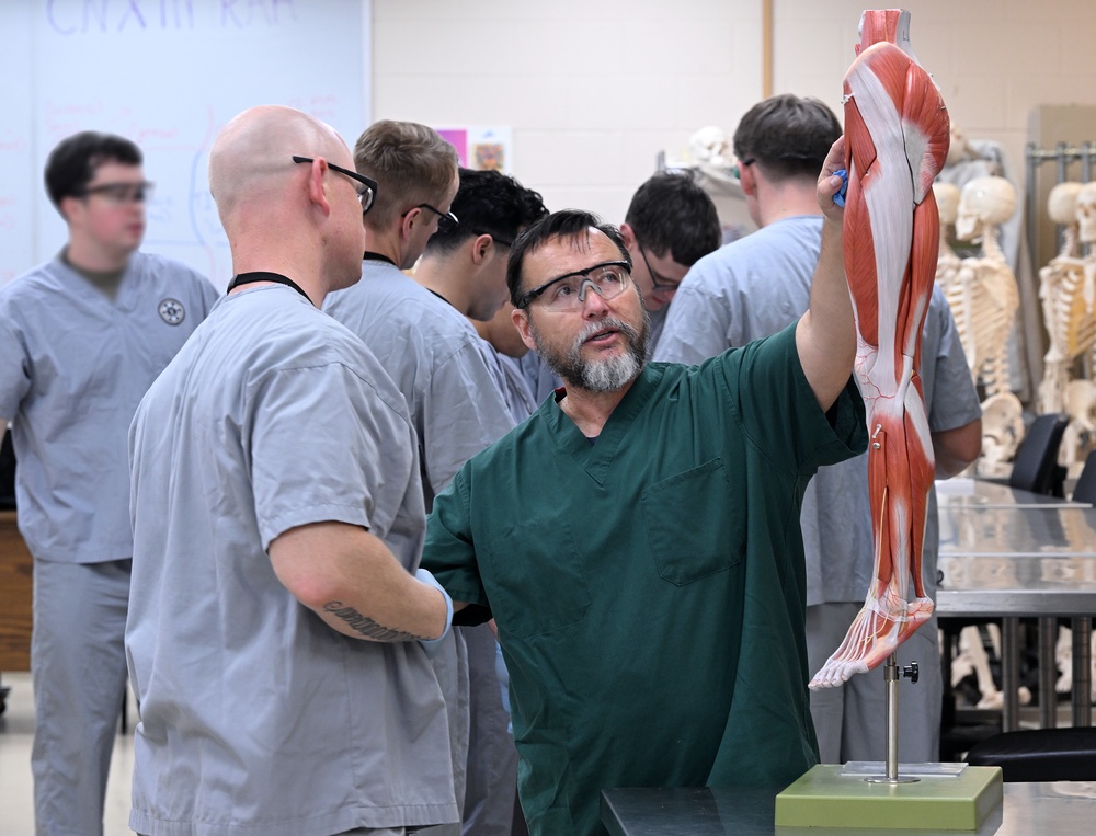 Students in Special Operations Combat Medic Course Take Part in Human Skeletal and Muscular Training