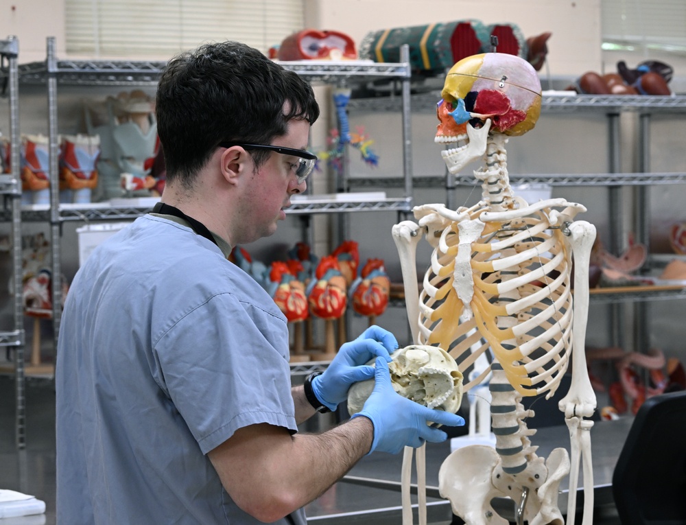 Students in Special Operations Combat Medic Course Take Part in Human Skeletal and Muscular Training