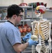 Students in Special Operations Combat Medic Course Take Part in Human Skeletal and Muscular Training