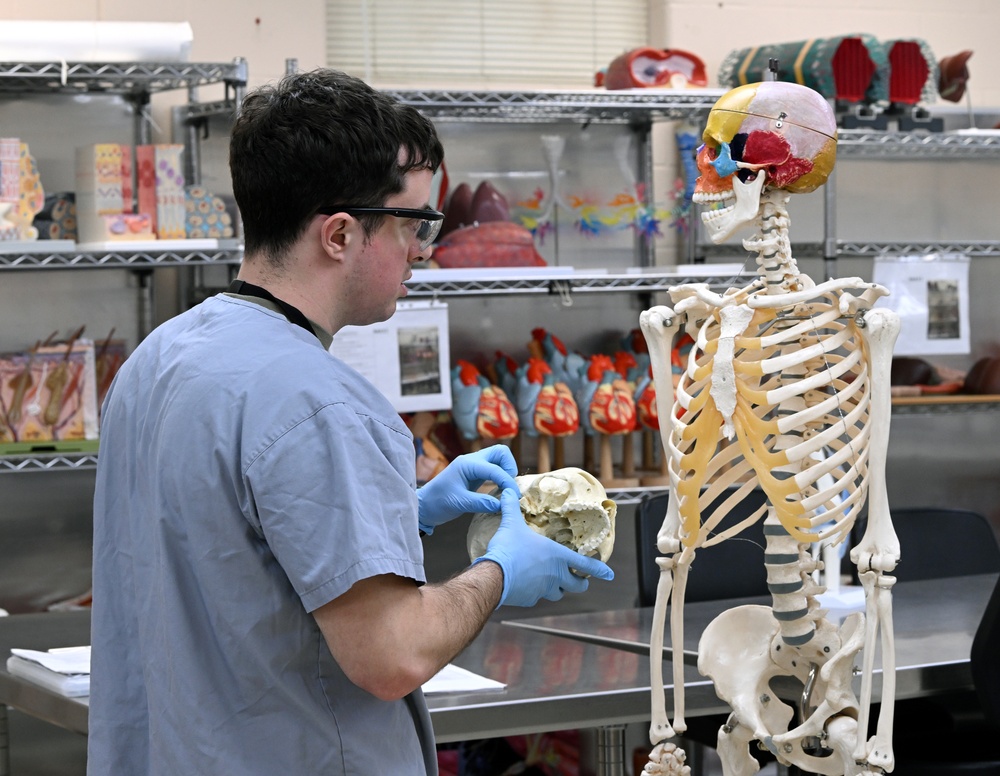Students in Special Operations Combat Medic Course Take Part in Human Skeletal and Muscular Training