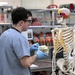 Students in Special Operations Combat Medic Course Take Part in Human Skeletal and Muscular Training