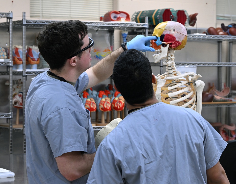 Students in Special Operations Combat Medic Course Take Part in Human Skeletal and Muscular Training