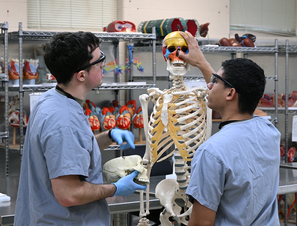 Students in Special Operations Combat Medic Course Take Part in Human Skeletal and Muscular Training