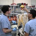 Students in Special Operations Combat Medic Course Take Part in Human Skeletal and Muscular Training