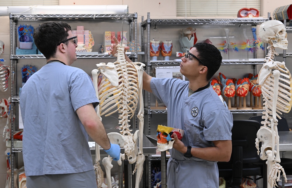 Students in Special Operations Combat Medic Course Take Part in Human Skeletal and Muscular Training
