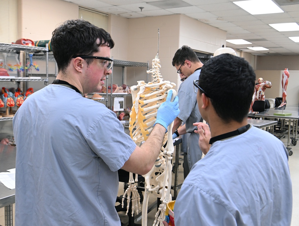 Students in Special Operations Combat Medic Course Take Part in Human Skeletal and Muscular Training