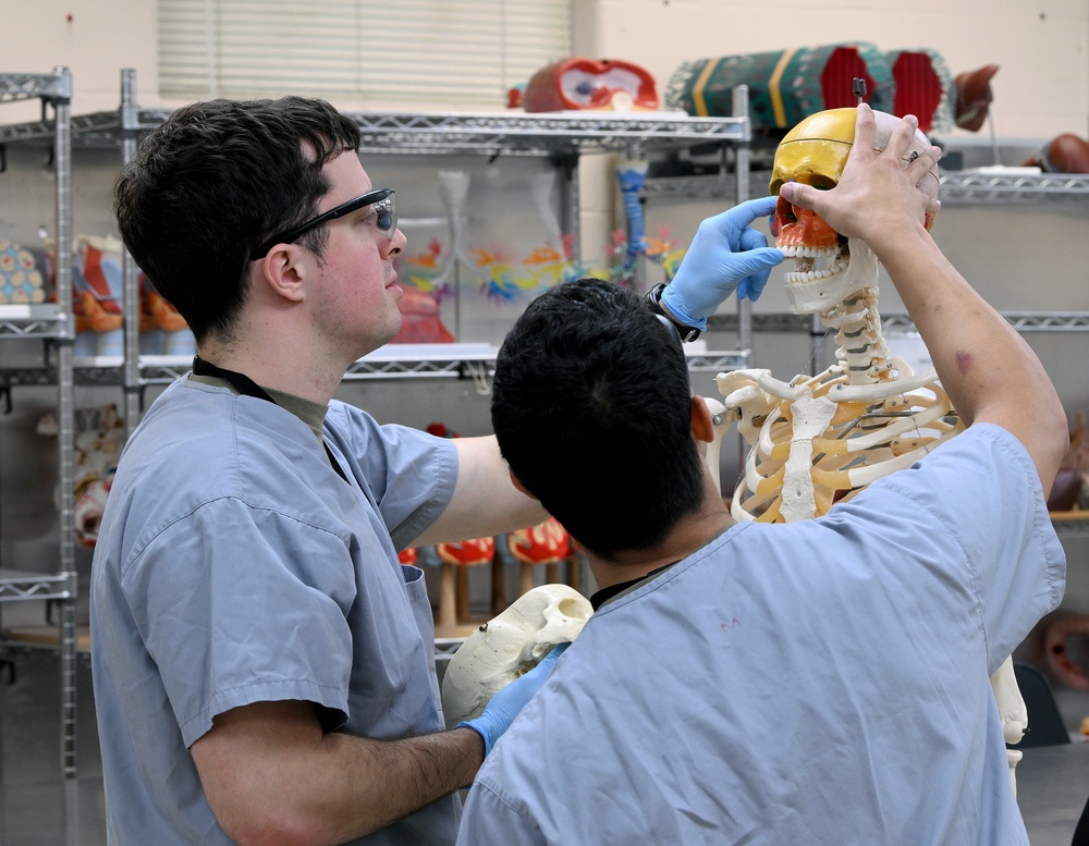 Students in Special Operations Combat Medic Course Take Part in Human Skeletal and Muscular Training