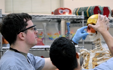 Students in Special Operations Combat Medic Course Take Part in Human Skeletal and Muscular Training
