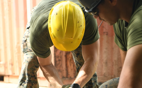 Hands in the Dirt, Eyes on the Horizon