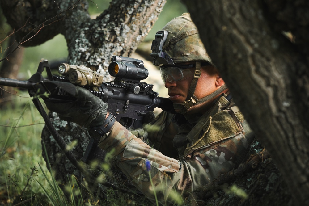 4-6th Infantry Regiment Conducts a LFX in Bulgaria