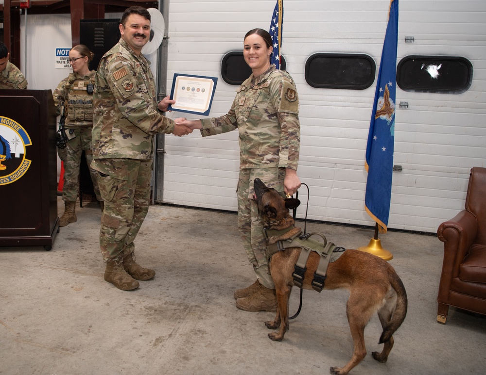 Military working dogs’ honored for their service