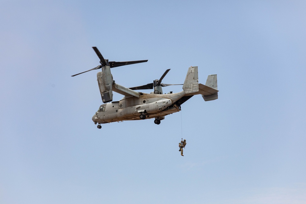 Bull Shark 25-2: US strengthens alliances, collectively boosts regional security capabilities in East Africa