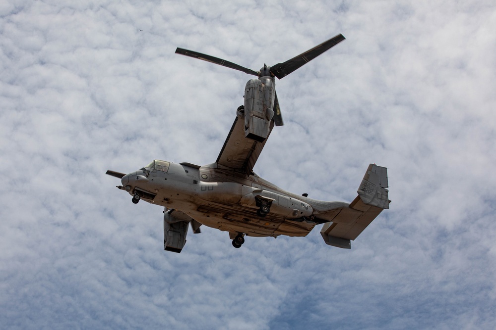 Bull Shark 25-2: US strengthens alliances, collectively boosts regional security capabilities in East Africa