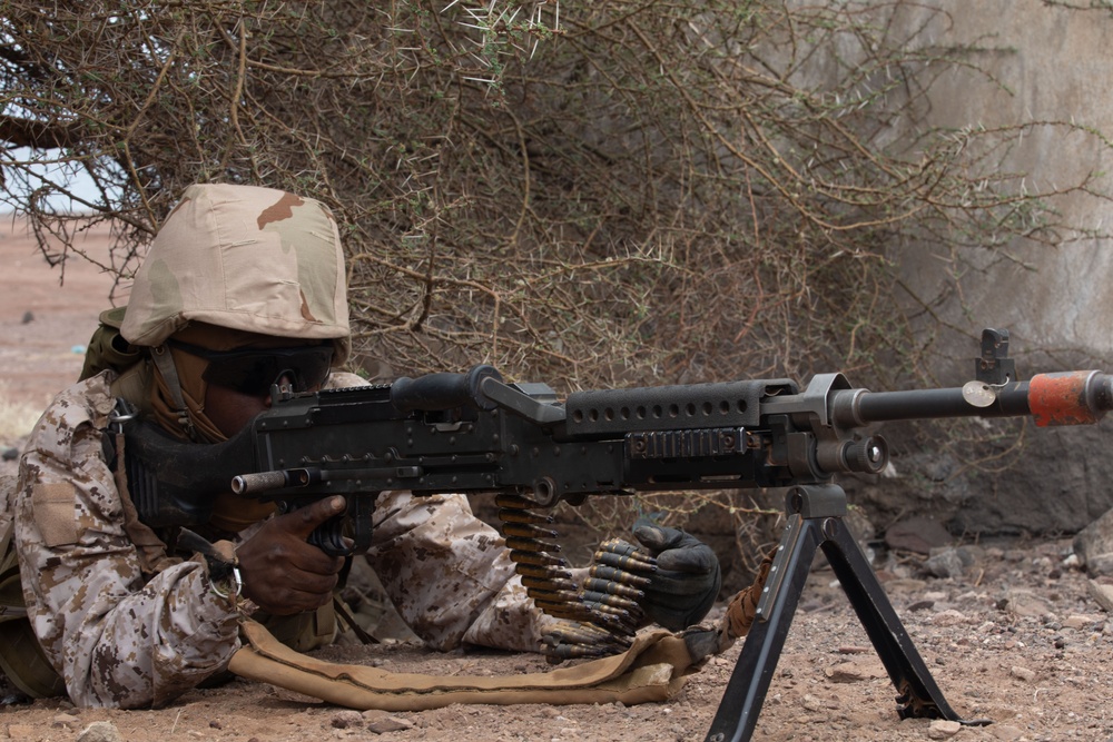 Bull Shark 25-2: US strengthens alliances, collectively boosts regional security capabilities in East Africa
