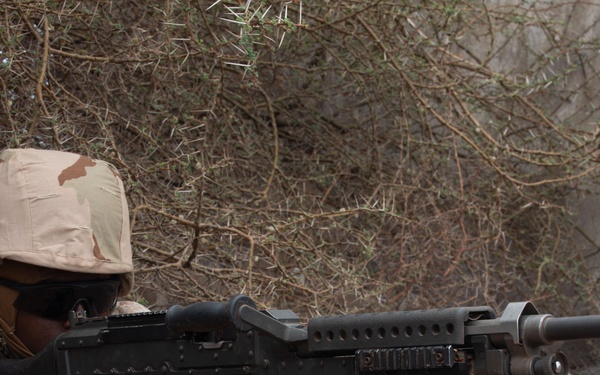 Bull Shark 25-2: US strengthens alliances, collectively boosts regional security capabilities in East Africa