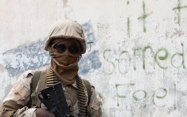 Bull Shark 25-2: US strengthens alliances, collectively boosts regional security capabilities in East Africa