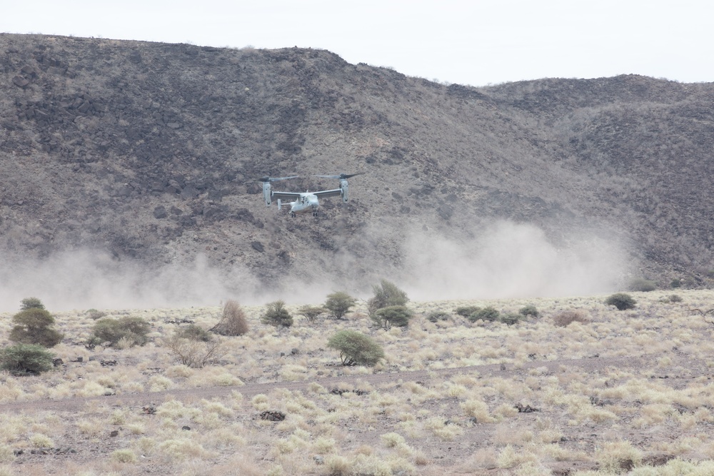 Bull Shark 25-2: US strengthens alliances, collectively boosts regional security capabilities in East Africa