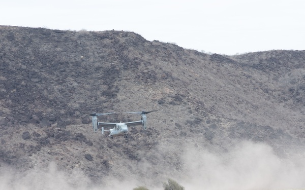 Bull Shark 25-2: US strengthens alliances, collectively boosts regional security capabilities in East Africa