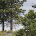 TACPs Go Off-Grid in Idaho Wilderness