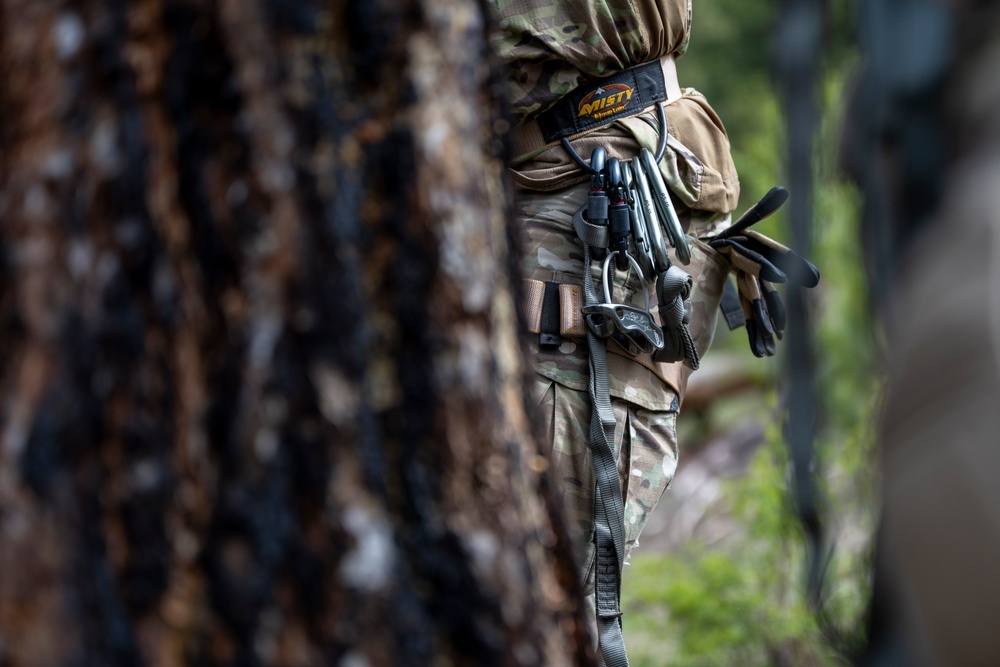 Idaho TACPs Elevate Readiness Through Joint Field Training