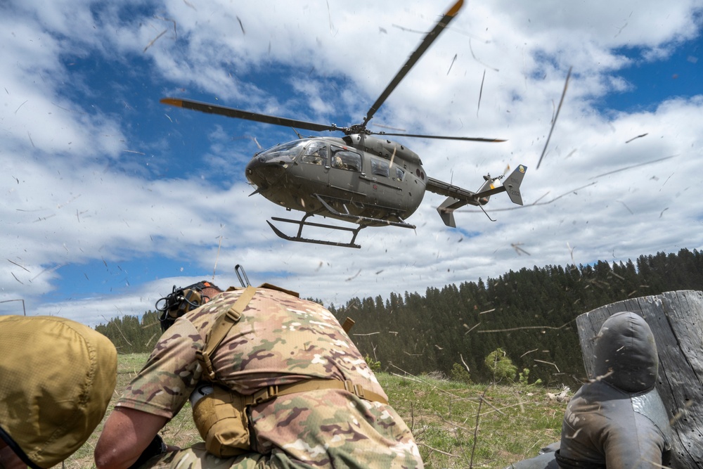Idaho TACPs Elevate Readiness Through Joint Field Training