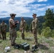 Idaho TACPs Elevate Readiness Through Joint Field Training