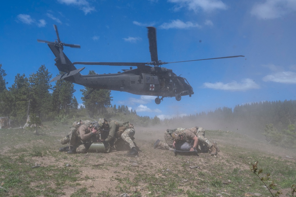 Idaho TACPs Elevate Readiness Through Joint Field Training