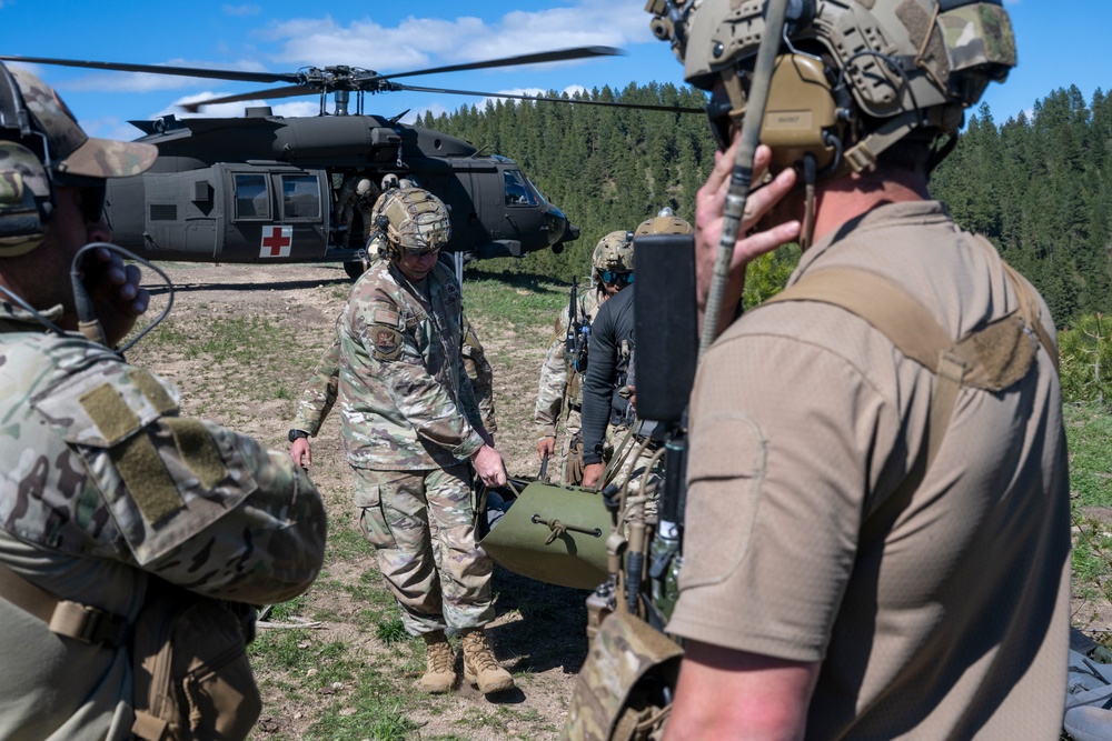 Idaho TACPs Elevate Readiness Through Joint Field Training