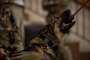 AFN Naples Radio News - NSA Naples K-9 Training and NSA Naples FCPOA Literacy Event