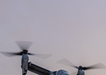 MAWTS-1 conducts Noncombatant Evacuation Operation exercise during WTI 2-25