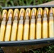 2025 Small Arms Championship