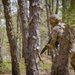 New Jersey Best Warrior Stress Shoot