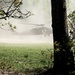 D.C. Army Aviation trains with Marine Corps Alpha Co. 1-25, The Basic School (TBS)