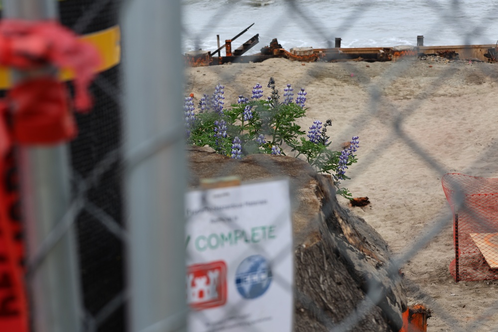 USACE continues debris removal on Pacific Coast Highway