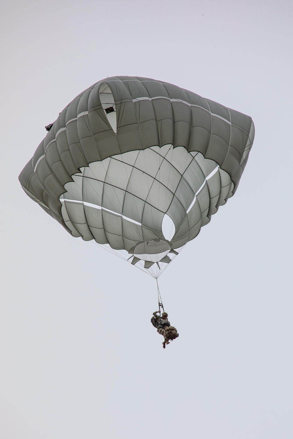 U.S. Marines, Army, Air Force conduct joint operations during Kodiak Mace 25