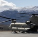 Alaska Army National Guard helicopters