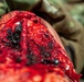 BH 25-2: 18th MDG and USNHO hold joint medical readiness exercise