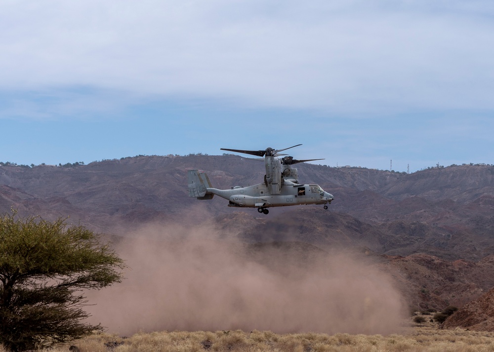Bull Shark 25-2: US strengthens alliances, collectively boosts regional security capabilities in East Africa